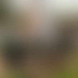 Elston's Cross-Country Team Off to a Flying Start! 🏃♀️🏃♂️💚