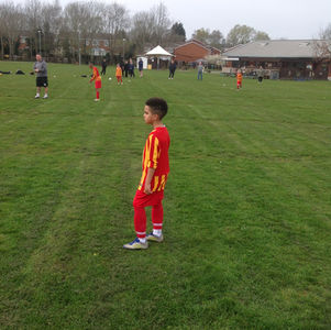 Tipton Green V Summerhill