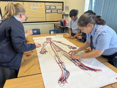 Year 6 Explore Blood Vessels!