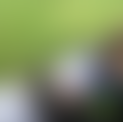 Art Adventures at the Black Country Museum!