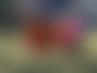 Girls' Football V Wood Green