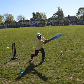 Tipton Green Triumphs at Holly Lodge Cricket Tournament