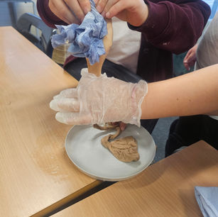 Year 4 Science - Ready, Steady, Digest!