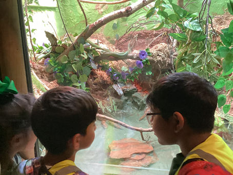 A Day to Remember at Dudley Zoo!
