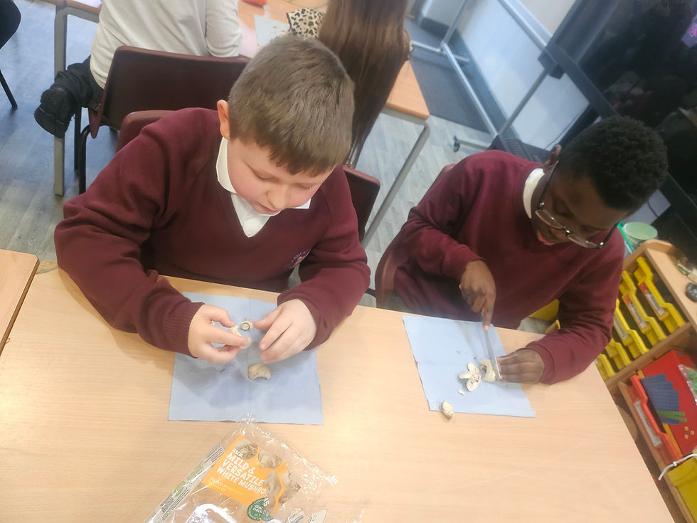 Cooking Club’s Crispy Quesadilla Creations!