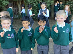 Year 1's Tree Discoveries!