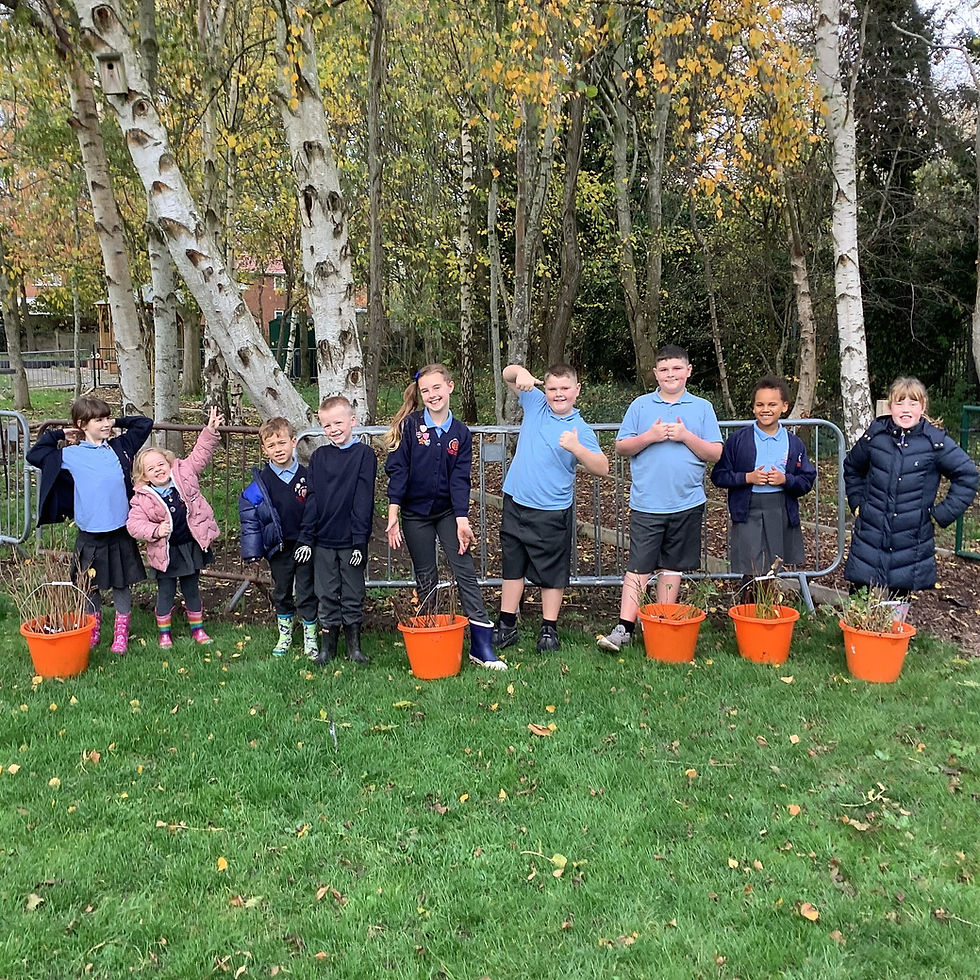 Planting for the Future: Our Health Champions in Action