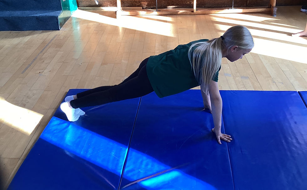 gym3_edited
