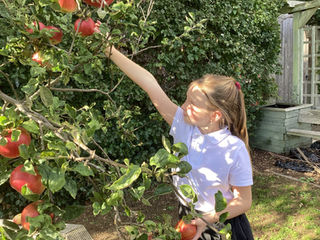 A Tasty Start to Cooking Club!