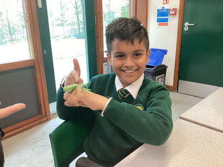 Rainforest Roadshow Brings Learning to Life