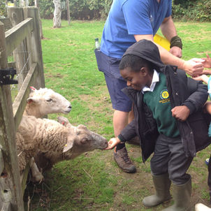Class 6 Visit Kingswood Trust