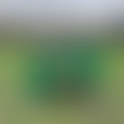 Elston V Grammar School