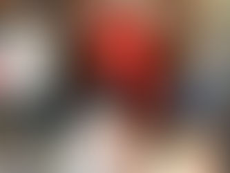 Festive Fun at Statfold Barn!