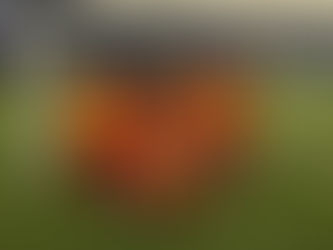 Girls' Football Tournament