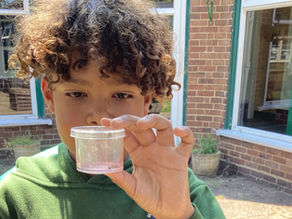 Invertebrate Investigators in the Quad!