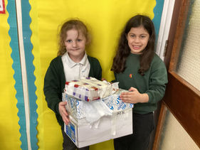 Year 1 Model Houses