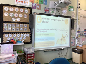 Dog's Trust Visits Year 3