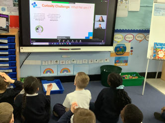 A Fantastic Blue Cross Webinar in Year 1