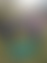 Our Composting Project!