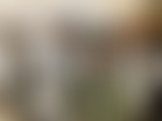 Year 6 Visit Blists Hill