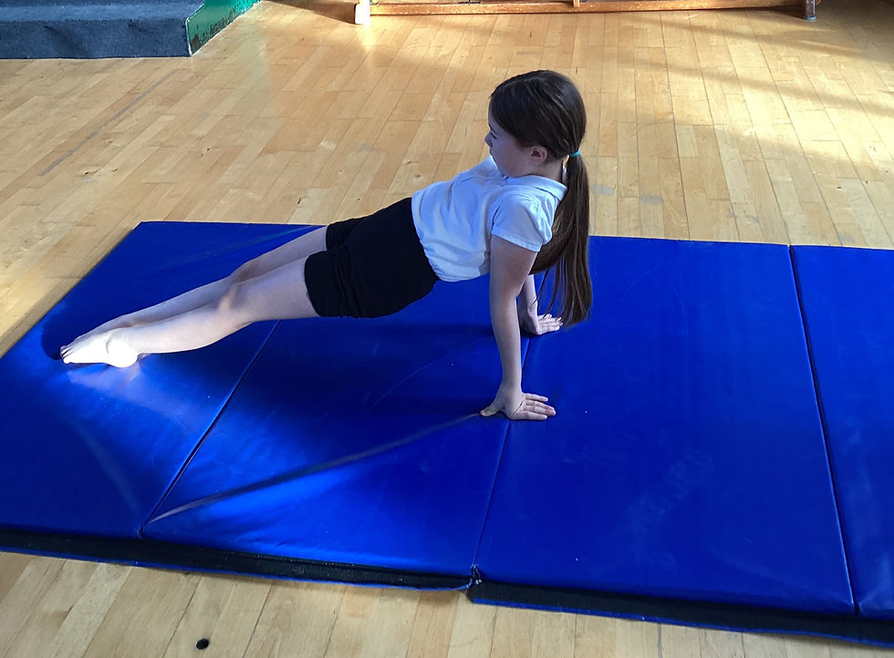 gym5_edited
