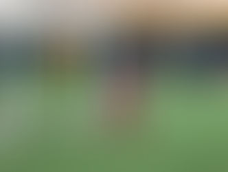 Wolves Academy Tournament