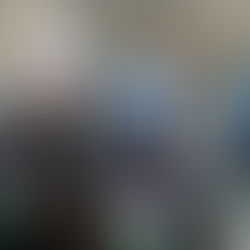 Year 6 Visitor â PCSO Shinton