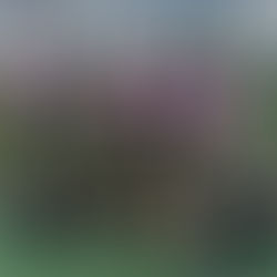 Team Spirit and Super Shots!