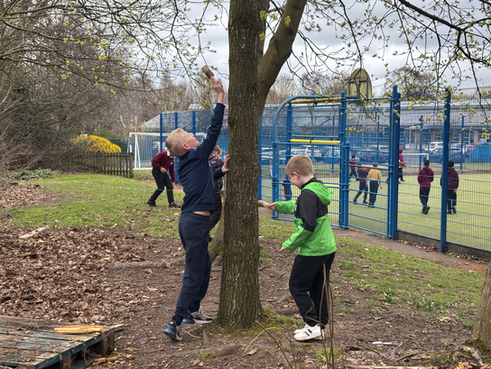 Forest School