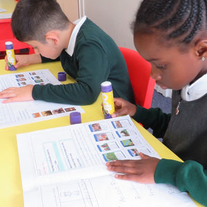 Exploring the Past in Year 2