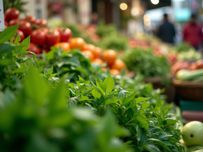 Discover STL Herbal Traditions: Embracing the Power of Herbal Remedies