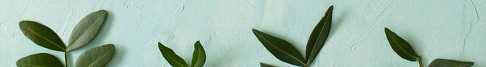 banner05.jpg