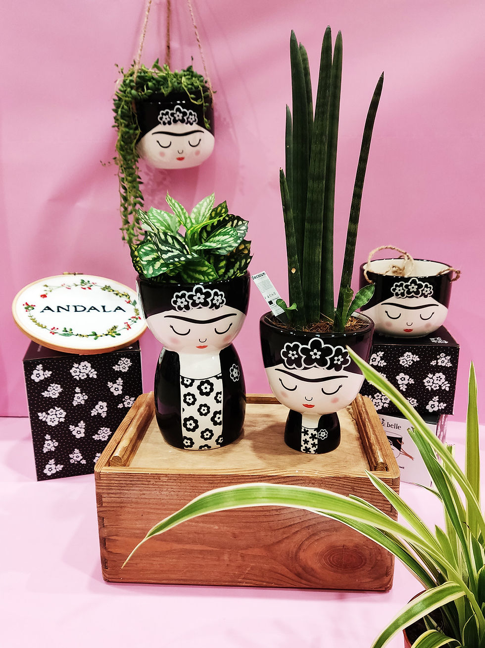 Miniatura: Macetero Frida