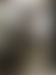 ブースターポンプ点検