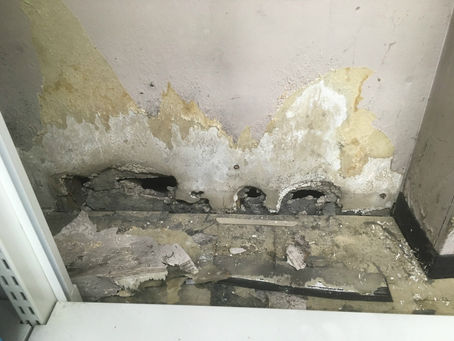 ネズミ防除作業