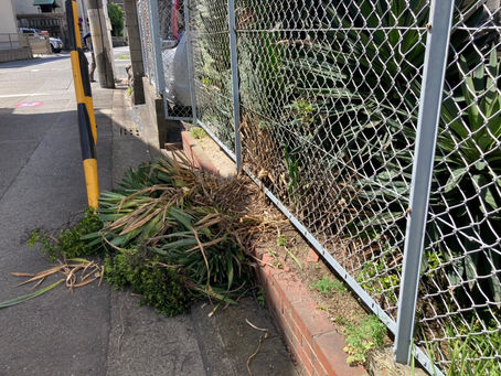 分譲マンションの植栽管理