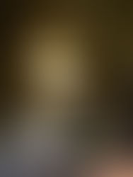 厨房清掃 居抜き店舗 レンジフード