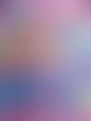 カーペット 絨毯 洗浄