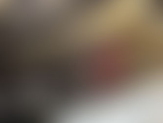 軒下 外壁 高圧洗浄 鳩糞除去