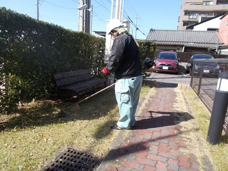 草刈り、消毒、施肥