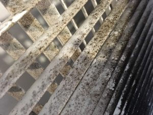 吸気口吹き出し口清掃