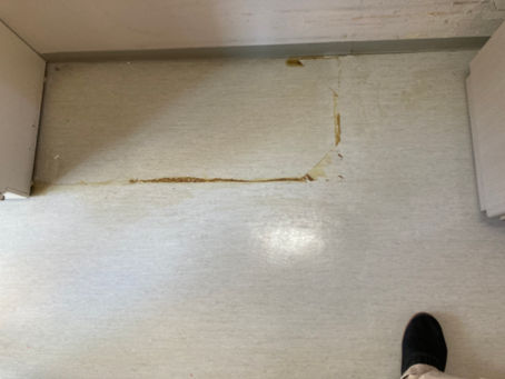 床掃除　物を移動しない　床にくっつく