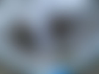 猛暑でハチは大量発生の傾向!