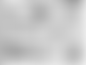 ビジネスフェア２０１７出展