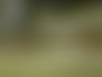 厨房清掃 グレーチング 側溝 汚れ溜まります