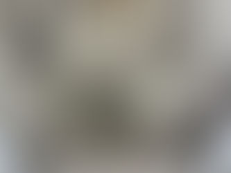 カビ　思い出すのは給食のパン　でも　今回は天井のカビ