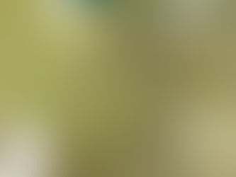 厨房清掃 床 なかなか汚れが取りづらい