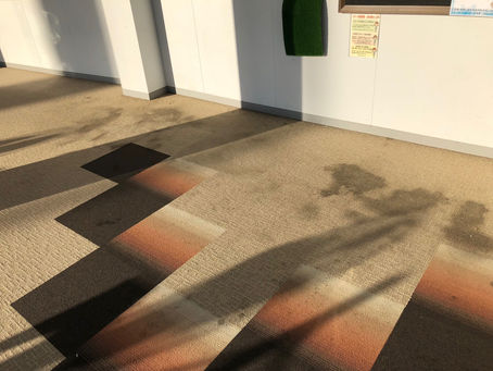 カーペット洗浄