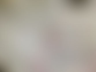 ボランティア活動