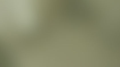 トイレ床面ハクリ清掃